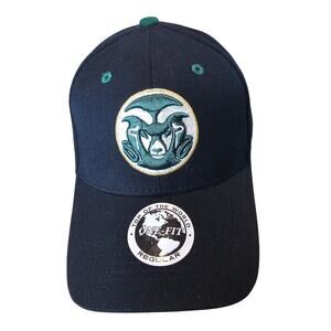 Vintage Colorado State Rams Fitted Hat Cap 90s Black Green Retro CO NCAA